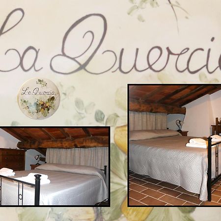 Bed and Breakfast Le Querce Di Campolungo San Giustino Pokoj fotografie