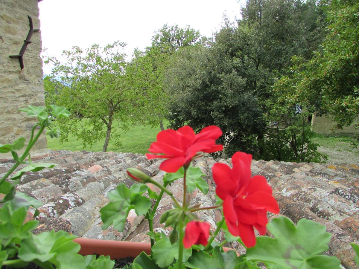 Bed and Breakfast Le Querce Di Campolungo San Giustino Exteriér fotografie